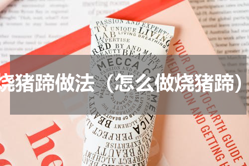 烧猪蹄做法（怎么做烧猪蹄）
