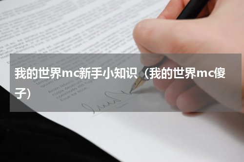 我的世界mc新手小知识（我的世界mc傻子）