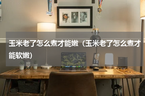 玉米老了怎么煮才能嫩（玉米老了怎么煮才能软嫩）