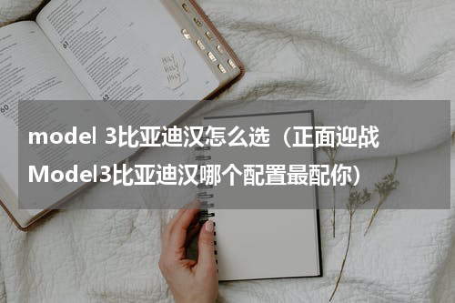 model 3比亚迪汉怎么选（正面迎战Model3比亚迪汉哪个配置最配你）