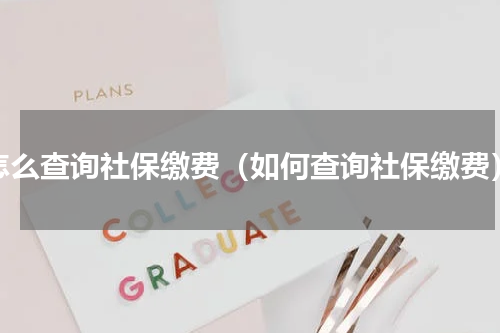 怎么查询社保缴费（如何查询社保缴费）