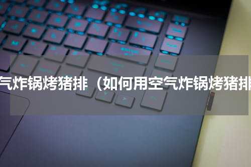 空气炸锅烤猪排（如何用空气炸锅烤猪排）