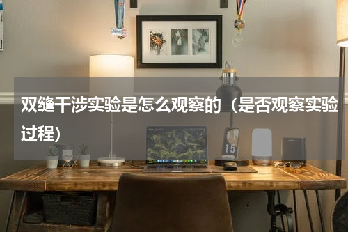 双缝干涉实验是怎么观察的（是否观察实验过程）