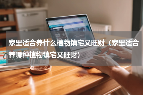 家里适合养什么植物镇宅又旺财（家里适合养哪种植物镇宅又旺财）