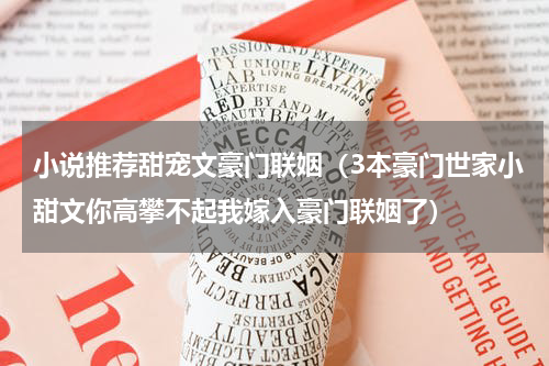 小说推荐甜宠文豪门联姻（3本豪门世家小甜文你高攀不起我嫁入豪门联姻了）