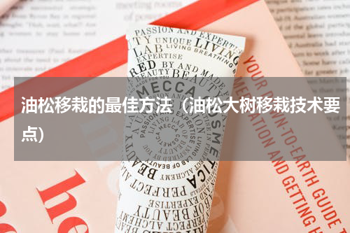 油松移栽的最佳方法（油松大树移栽技术要点）
