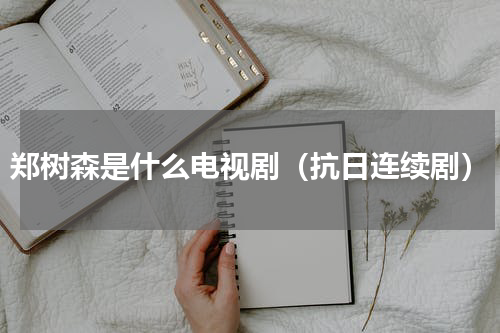 郑树森是什么电视剧（抗日连续剧）