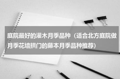 庭院最好的灌木月季品种（适合北方庭院做月季花墙拱门的藤本月季品种推荐）