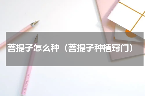 菩提子怎么种（菩提子种植窍门）