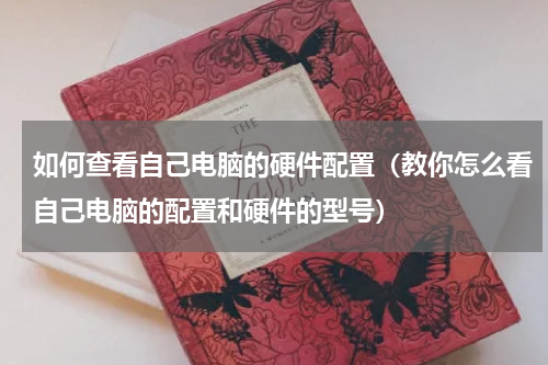 如何查看自己电脑的硬件配置（教你怎么看自己电脑的配置和硬件的型号）