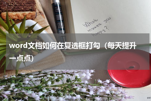 word文档如何在复选框打勾（每天提升一点点）