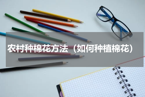 农村种棉花方法（如何种植棉花）