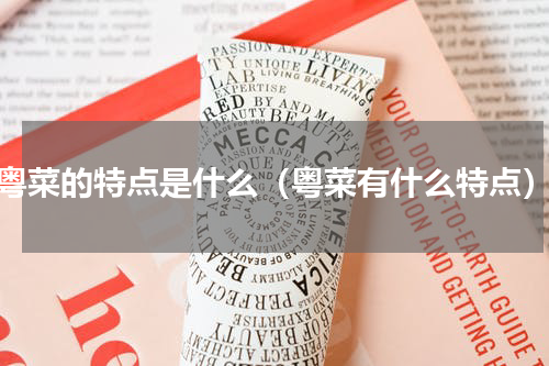 粤菜的特点是什么（粤菜有什么特点）