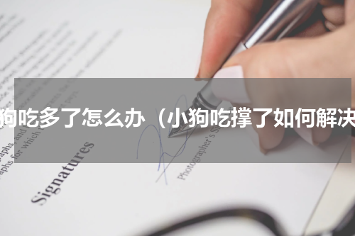 狗狗吃多了怎么办（小狗吃撑了如何解决）