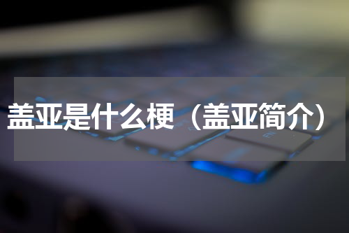 盖亚是什么梗（盖亚简介）