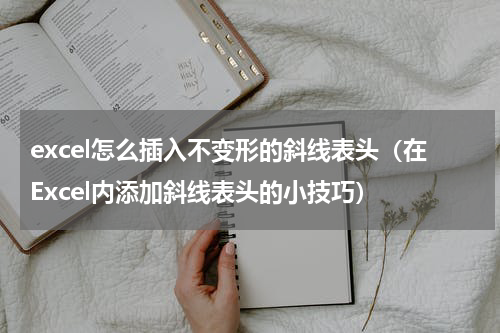 excel怎么插入不变形的斜线表头（在Excel内添加斜线表头的小技巧）