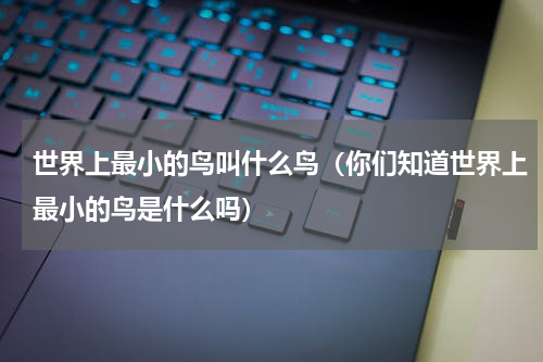 世界上最小的鸟叫什么鸟（你们知道世界上最小的鸟是什么吗）