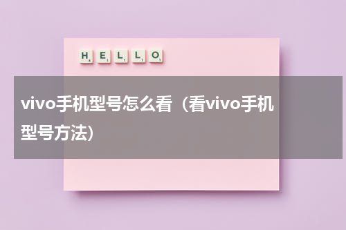 vivo手机型号怎么看（看vivo手机型号方法）
