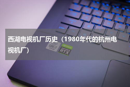 西湖电视机厂历史（1980年代的杭州电视机厂）