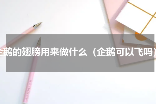 企鹅的翅膀用来做什么（企鹅可以飞吗）