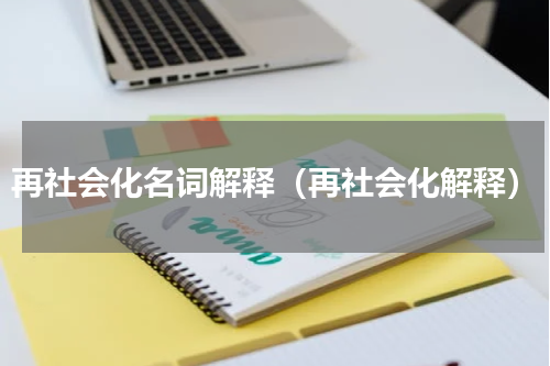 再社会化名词解释（再社会化解释）