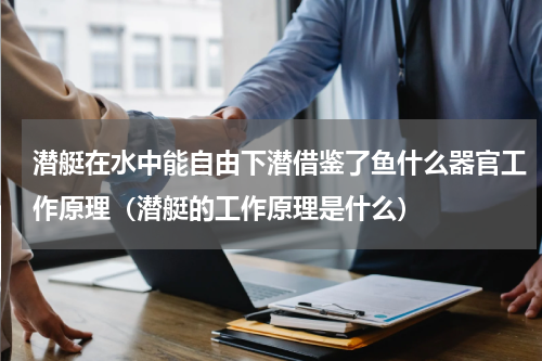 潜艇在水中能自由下潜借鉴了鱼什么器官工作原理（潜艇的工作原理是什么）