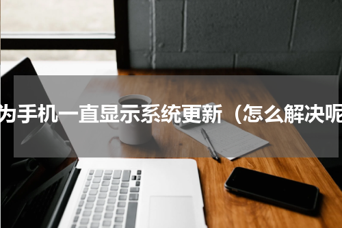 华为手机一直显示系统更新（怎么解决呢）