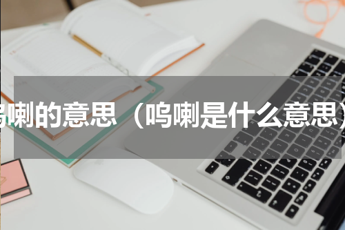 呜喇的意思（呜喇是什么意思）