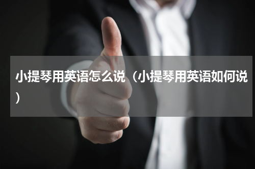 小提琴用英语怎么说（小提琴用英语如何说）