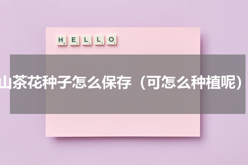 山茶花种子怎么保存（可怎么种植呢）