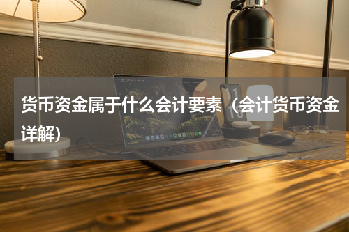 货币资金属于什么会计要素（会计货币资金详解）