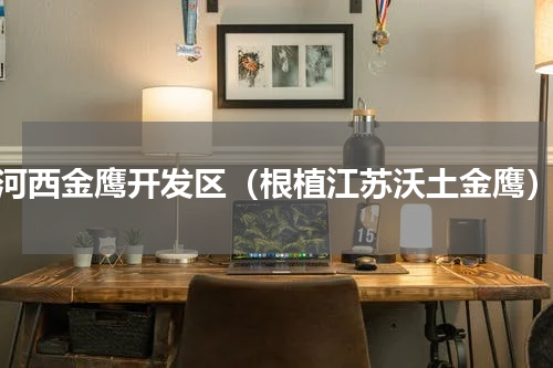 河西金鹰开发区（根植江苏沃土金鹰）