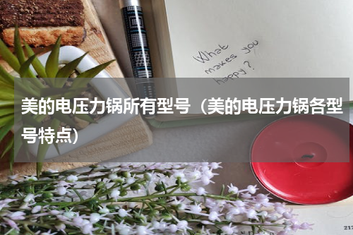 美的电压力锅所有型号（美的电压力锅各型号特点）