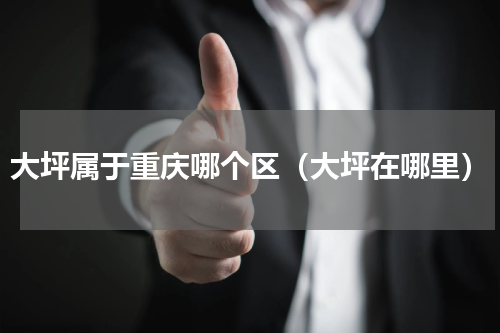 大坪属于重庆哪个区（大坪在哪里）