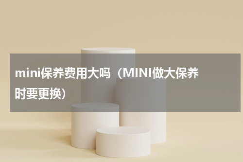 mini保养费用大吗（MINI做大保养时要更换）