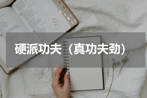 硬派功夫（真功夫劲）