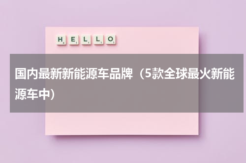 国内最新新能源车品牌（5款全球最火新能源车中）