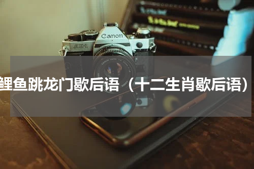 鲤鱼跳龙门歇后语（十二生肖歇后语）