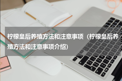 柠檬皇后养殖方法和注意事项（柠檬皇后养殖方法和注意事项介绍）