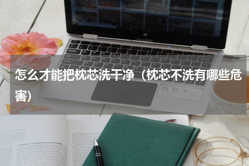 怎么才能把枕芯洗干净（枕芯不洗有哪些危害）