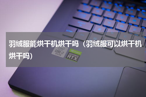 羽绒服能烘干机烘干吗（羽绒服可以烘干机烘干吗）