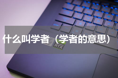 什么叫学者（学者的意思）