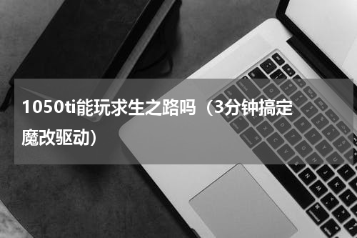 1050ti能玩求生之路吗（3分钟搞定魔改驱动）