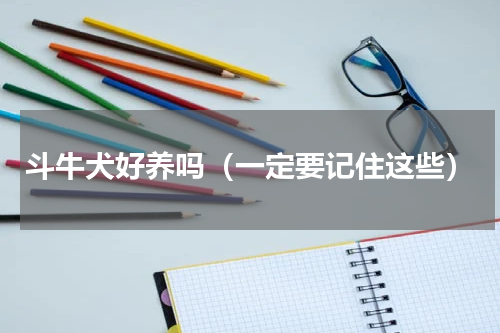 斗牛犬好养吗（一定要记住这些）