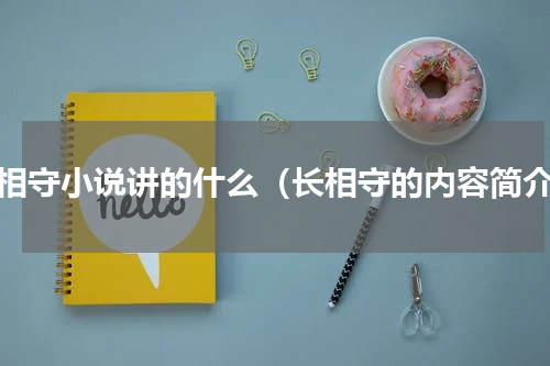 长相守小说讲的什么（长相守的内容简介）