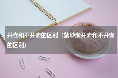 开壶和不开壶的区别（紫砂壶开壶和不开壶的区别）