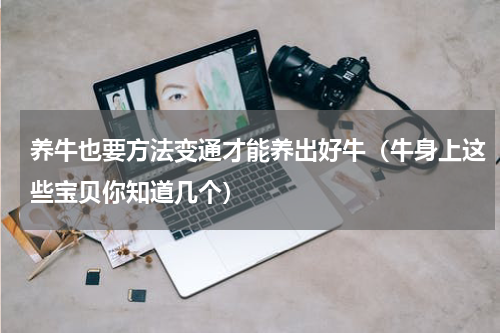 养牛也要方法变通才能养出好牛（牛身上这些宝贝你知道几个）