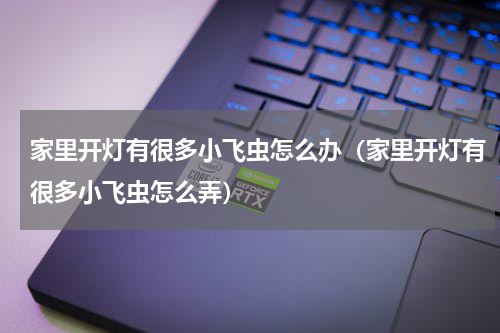 家里开灯有很多小飞虫怎么办（家里开灯有很多小飞虫怎么弄）