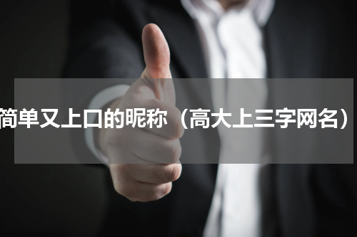 简单又上口的昵称（高大上三字网名）