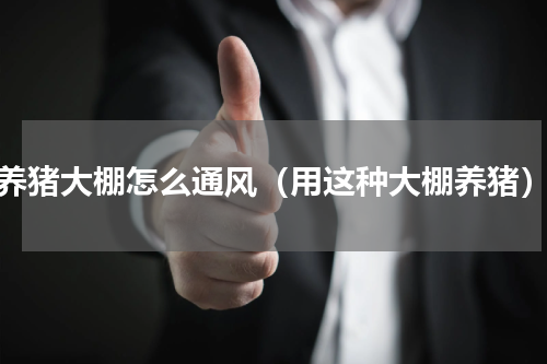 养猪大棚怎么通风（用这种大棚养猪）